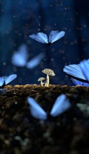 A Midsummer Night’s Dream