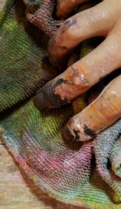 The Coffin is Too Big for the Hole